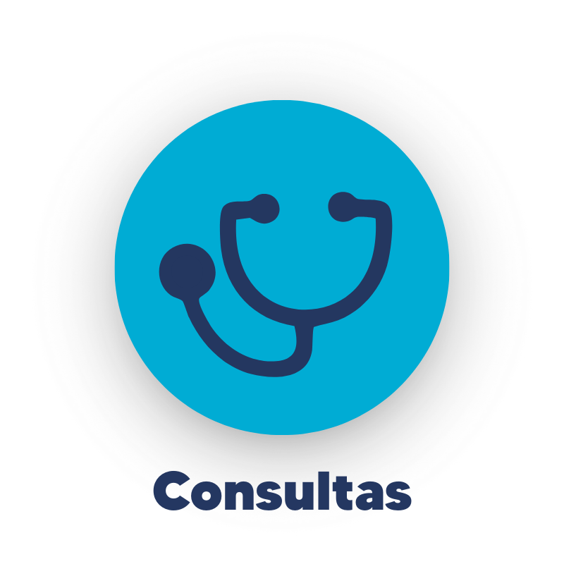 CuidarPets - Consultas