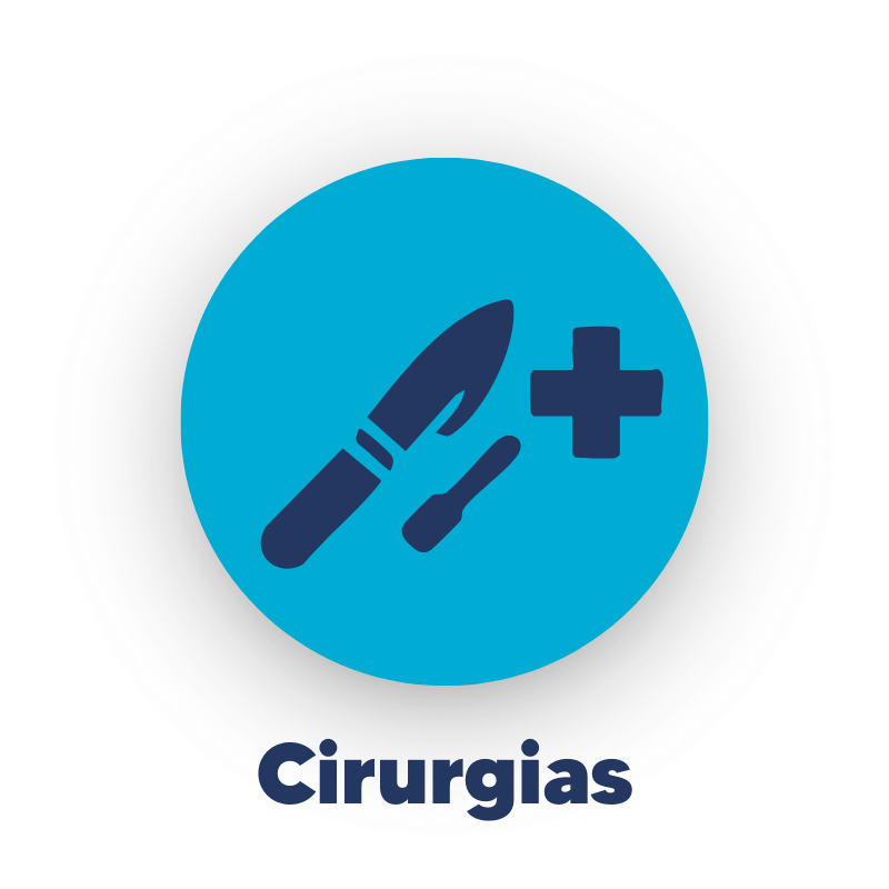 CuidarPets - Cirurgias