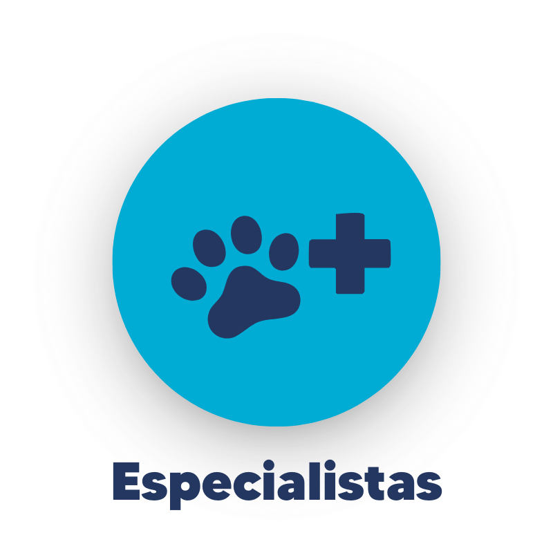 CuidarPets - Especialistas