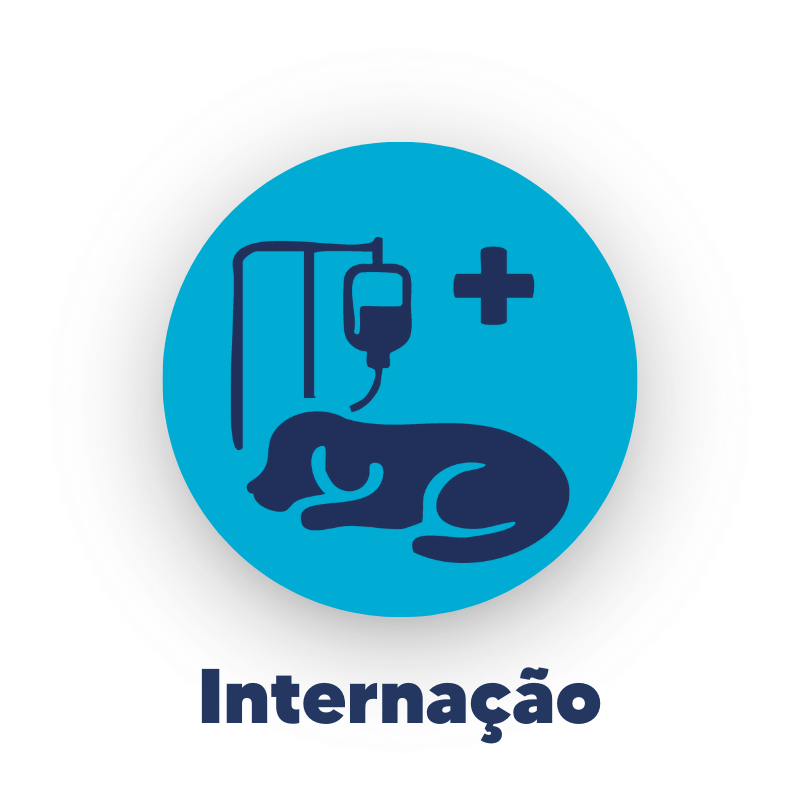 CuidarPets - Internação